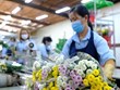 Снова открыт экспорт срезанных цветов из Вьетнама в Австралию