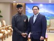 Премьер -министр Фам Минь Тьинь приветствовал развитие двусторонних связей с Нигерией