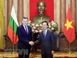 Президент Вьетнама принял вновь аккредитованных послов иностранных государств