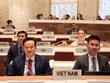 Вьетнам призывает к защите гражданских лиц в вооруженных конфликтах