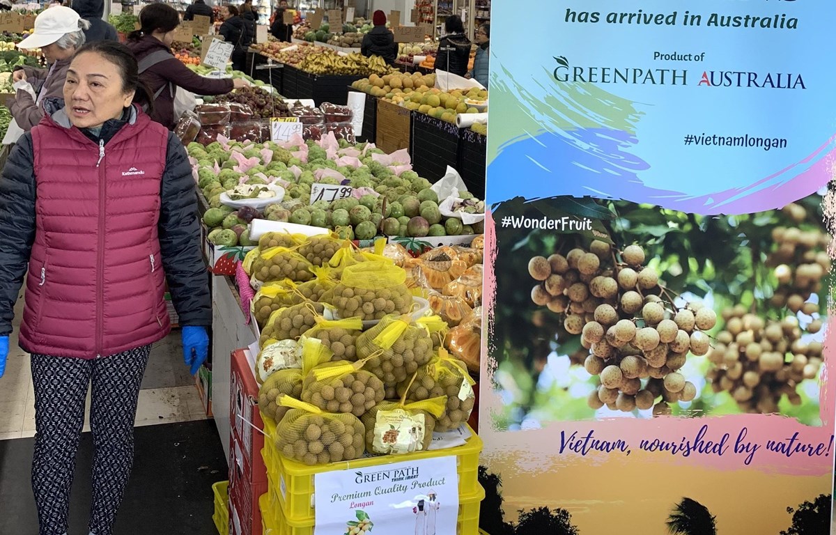 Свежие вьетнамские фрукты лонган на рынке в Австралии (Фото: ВИА)