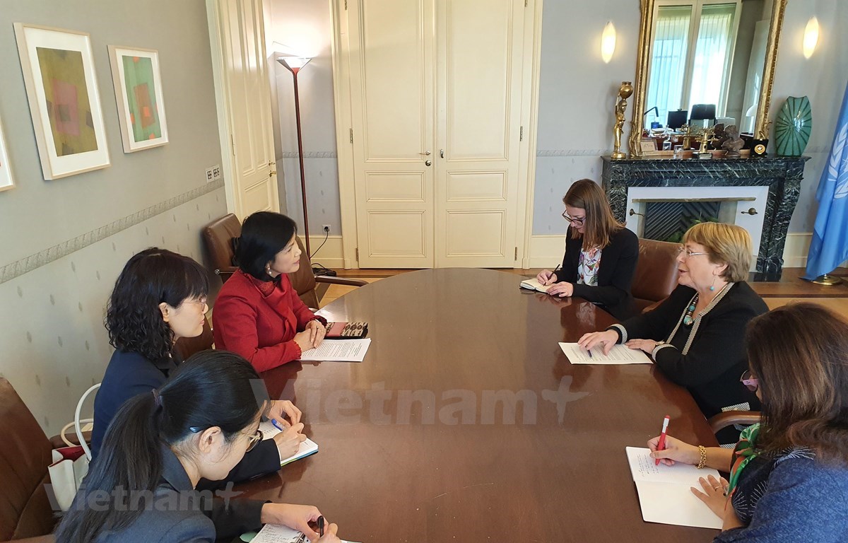 Посол Ле Тхи Тует Май во главе вьетнамской делегации на встрече с Верховным комиссаром ООН по правам человека. (Фото: Постоянное представительство Вьетнама при ООН)