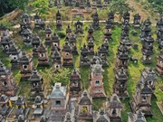 Пагода Бо Да и самыый большой сад башен во Вьетнаме 
