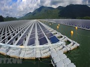 Вьетнам добился самого быстрого роста в сфере возобновляемых источников энергии во Юго-Восточной Азии