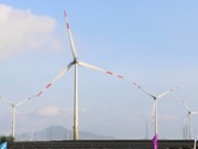 Вьетнам вошел в тройку лидеров в Азиатско-Тихоокеанском регионе по переходу на возобновляемые источники энергии