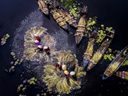 Красота четырех сезонов в районе реки Лонг-ан