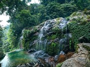 Водопад в лесу Бави