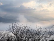 Рай облаков Тасуа
