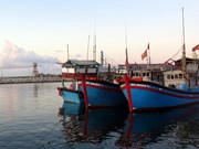 Моря и острова Вьетнама: доки – надежная точка опоры для рыбаков