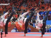 Международные друзья впечатлены высоким спортивным духом вьетнамцев