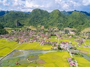 Туризм во Вьетнаме: «золотой» сезон в долине Бакшон (Лангшон)