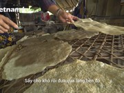Производство листов из рисовой муки Туилоан: сотнелетнее ремесло в Дананге