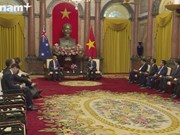 Вьетнам является «первоочердным партнером» Австралии в регионе