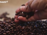Вьетнам является крупнейшим поставщиком кофе в Испанию