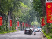 Улицы Ханоя ярко украшены накануне дня выборов