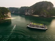 Красота забытой бухты Ланха во Вьетнаме
