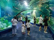 Океанариум Lotte World в Ханое