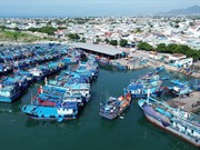 Вьетнам стремится к устойчивому развитию рыболовства