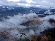 Охота за облаками на горе Лао Ти Фунг