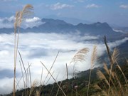 Идеальное место, где можно понаблюдать облаками в северной горной провинции Лайчау