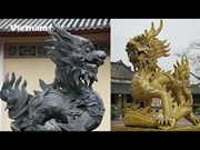 Ответ экспертов на часто задаваемые вопросы о вьетнамском драконе