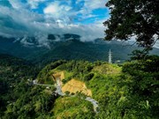 Туризм Вьетнама: величественная красота перевала Фадин 