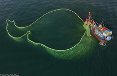 Завораживающие фотографии рыболовных сетей в водах Вьетнама с высоты птичьего полета 