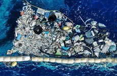 Во Вьетнаме построят международный центр по переработке морских пластиковых отходов
