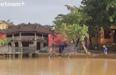 Город Хойан ликвидировал последствия 9-го тайфуна 