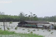 Куангнгай разрушен после 9-го тайфуна