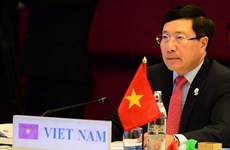 Внешние отношения Вьетнама в 2020 году: новая воля и позиция