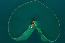 Очаровательные фотографии рыболовных сетей в водах Вьетнама