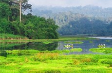 Всемирный биосферный заповедник Донгнай: «зеленые легкие» на юго-востоке