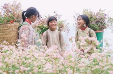 Великолепный Хажанг в начале сезона цветков гречихи