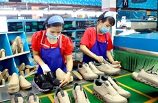 Вьетнам возглавил восстановление цепочки поставок в Юго-Восточной Азии