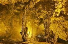 Открыть великолепную красоту пещеры Нгыомнгао в провинции Каобанге