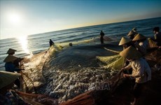 Стать страной с устойчивым и современным рыболовством