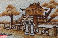 Вьетнам в картинах из риса