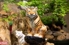 Коллекция фарфоровой статуи тигра Минь Лонг I