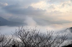 Рай облаков Тасуа