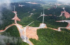 Разнообразие источников энергии: Эффективность ветровой энергии в Куангчи