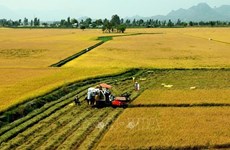 Ниньтхуан продвигает устойчивое сельское хозяйство и развитие сельских местностей