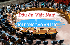 Вклад Вьетнама в деятельность Совета Безопасности ООН
