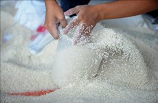 Положительные сигналы для экспорта риса во второй половине года