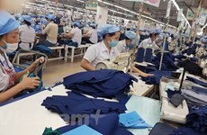 Индийские компании: Вьетнам является потенциальным рынком