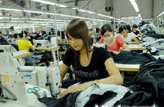 Всемирный банк: Экономика Вьетнама набирает обороты