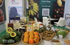 Поиск способов открытия требовательных рынков для вьетнамских фруктов