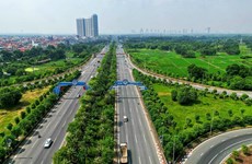 Ханой усиливает «озеленение» улиц
