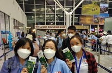 Более 56.800 вьетнамских рабочих отправились на работу за границей за последние 7 месяцев