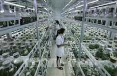Следуя тенденции «зеленого» сельского хозяйства